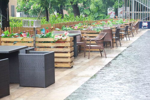 出境旅游，大使館能為你做什么？