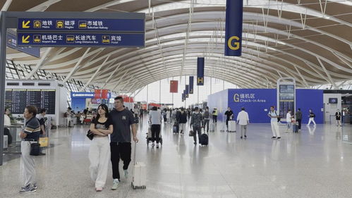 雙節(jié)同慶客流井噴，上海機(jī)場(chǎng)日均客流首破40萬(wàn)大關(guān)折射出境游復(fù)蘇浪潮